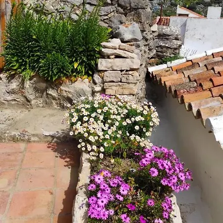 Casa Cabra Дом отдыха Монтехаке
